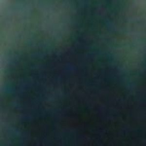 Meet your Posher, Sylvia